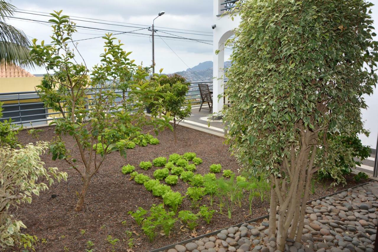 Вилла Sea And Sun 4 You - Choupana House Фуншал Экстерьер фото